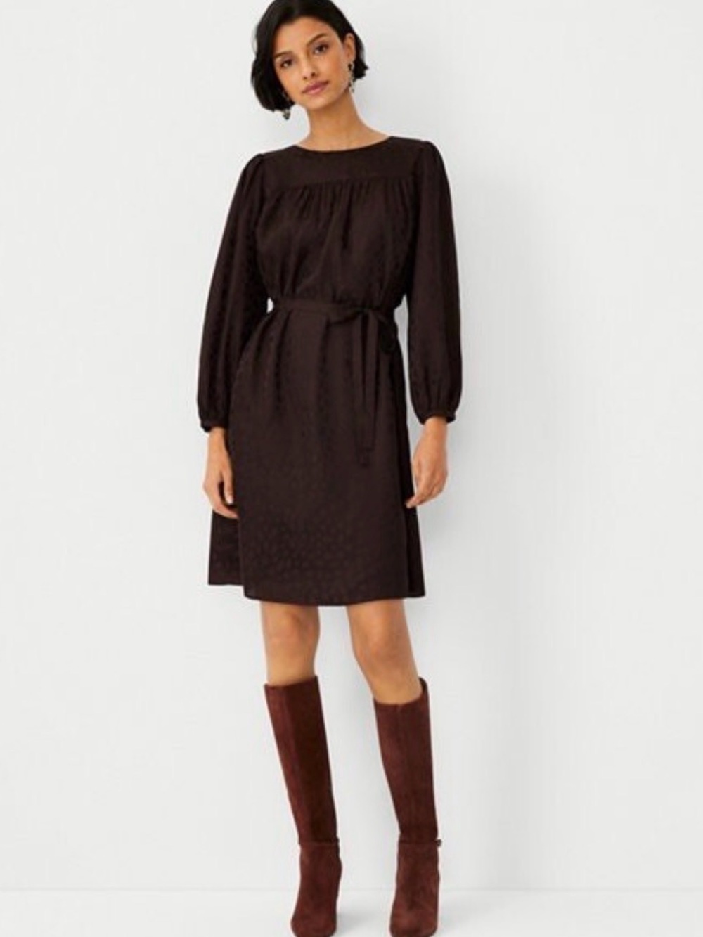 Ann Taylor Dark Brown Long Sleeve Belted Dress